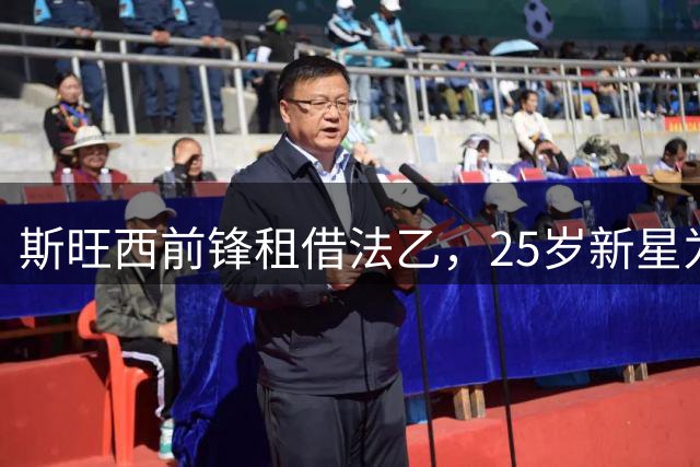 斯旺西前锋租借法乙，25岁新星为何难觅位置